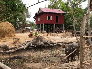 Train_Bamboo_Battambang