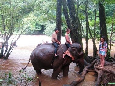 Elephant_Mondulkiri